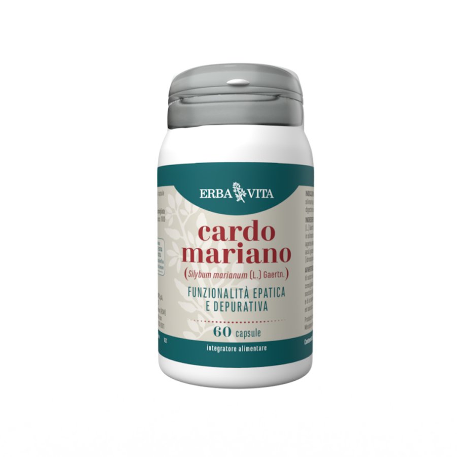 Cardo Mariano, 60 Capsule
