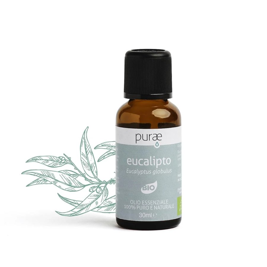 Purae Olio Essenziale di Eucalipto Bio 100% Puro e Naturale Oversize, 30 ml