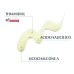 Eucerin DermoPurifyer Oil Control - Siero Tripla Azione Anti Macchie, 40ml