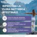 Isypan Probiotik, 12 Bustine Isypan Probiotik, 12 Bustine