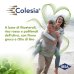 Ibsa Farmaceutici, Colesia Soft Gel, 30 Capsule Molli 