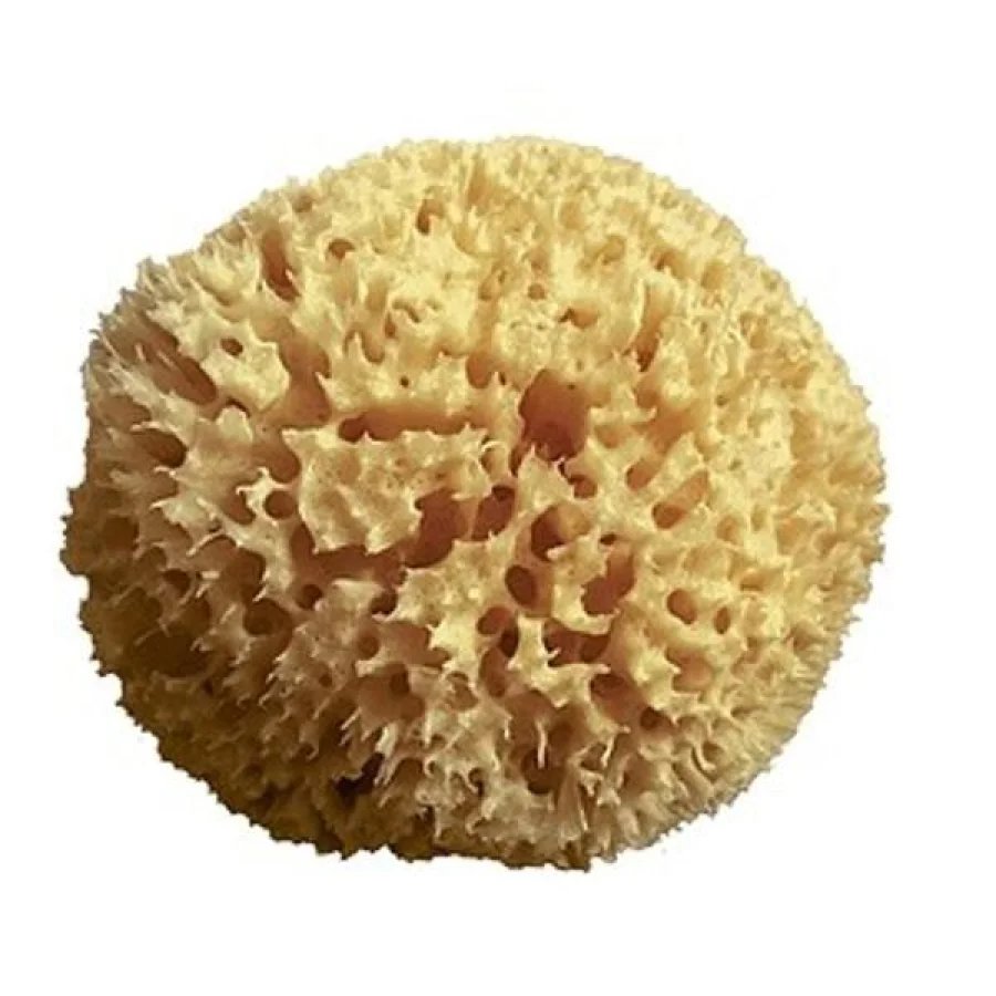 Spugna Arcipelago Baby Sponge, 1 pezzo