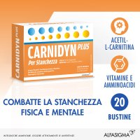 Carnidyn Plus - Integratore Alimentare Creatina Carnosina Vitamina E 20 Buste 5 g