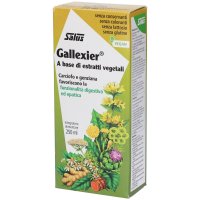 Salus Gallexier, 250 ml, Integratore con Carciofo, Tarassaco e Genziana per Digestione Lenta e Funzione Epatica