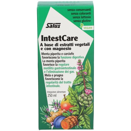 Salus IntestCare, 250 ml, Integratore per la Digestione e la Regolarità Intestinale con Curcuma, Menta Piperita, Magnesio e Frutta