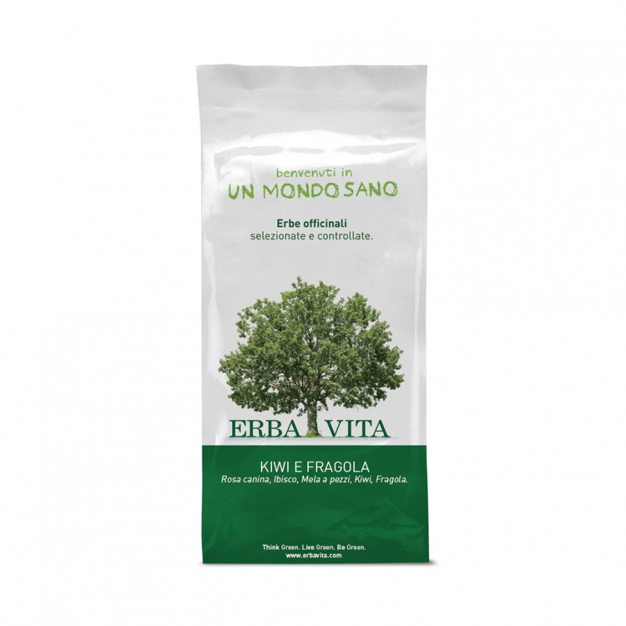 Erba Vita - Group Fruit Tea Infuso Kiwi/Fra 100 g
