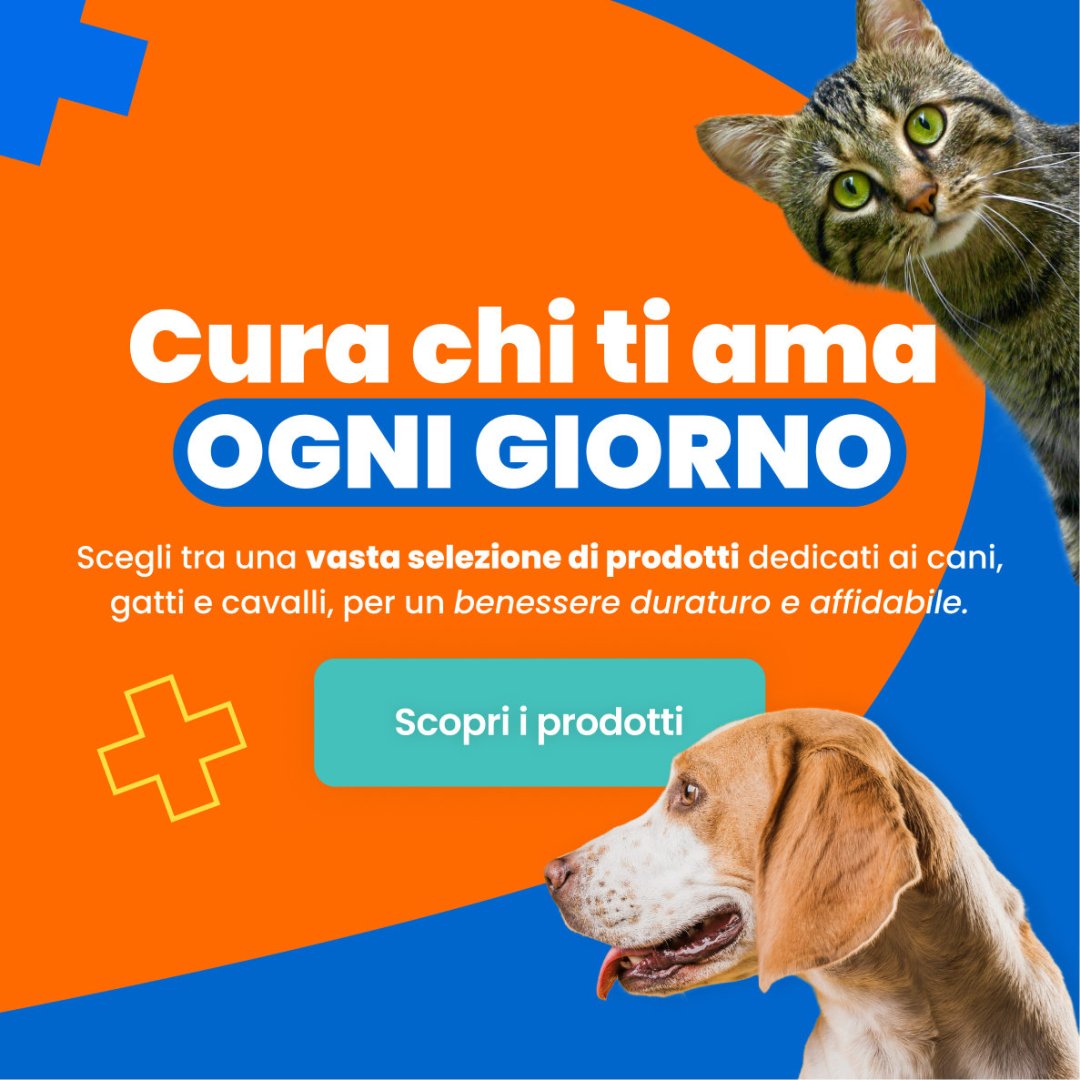 Vet