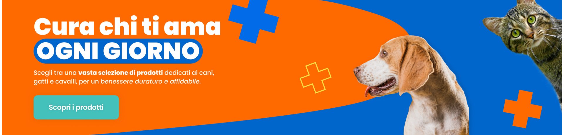 Vet
