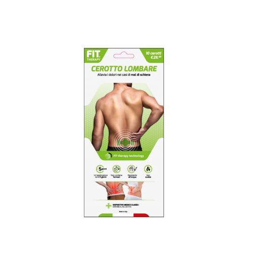 Fit Therapy Cerotto Energetico Lombare, 2 pezzi - Sollievo naturale per dolori articolari