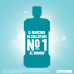 Listerine Collutorio Cool Mint, Gusto Delicato di Menta, 500 ml, Collutorio Senza Alcool