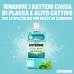 Listerine Collutorio Cool Mint, Gusto Delicato di Menta, 500 ml, Collutorio Senza Alcool