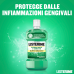 Listerine Collutorio Difesa Denti e Gengive Gusto Delicato, Zero Alcol, Tripla Azione, 500ml