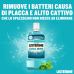 Listerine Coolmint Collutorio Antibatterico 500ml - Alito Fresco e Protezione Completa