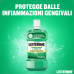 Listerine Collutorio Difesa Denti e Gengive Gusto Delicato - 2 x 500ml