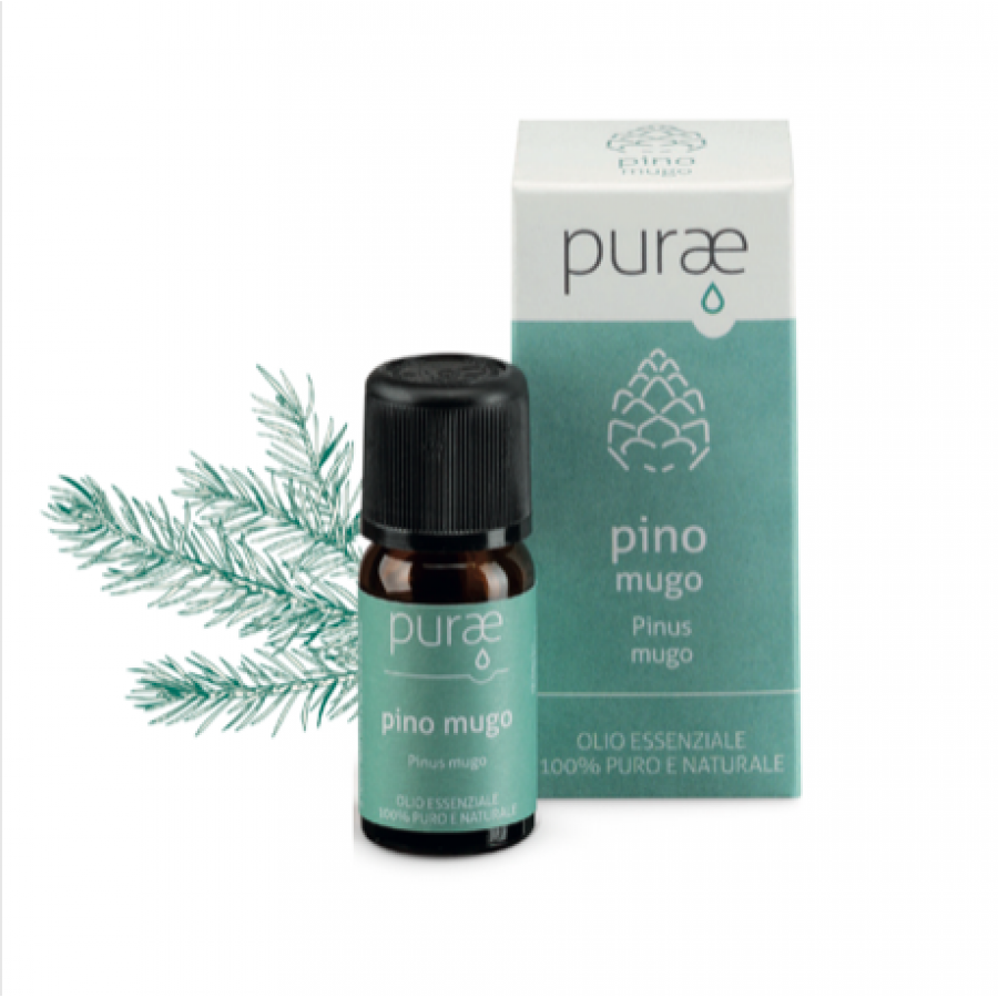 Purae Pino Mugo Olio Essenziale Bio 10ml, 100% Naturale, Aromaterapia, Purificante, Balsamico