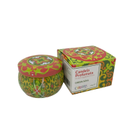 Colors Candela Profumata Green Soul Menta e Zenzero, 120g, Cera Soia