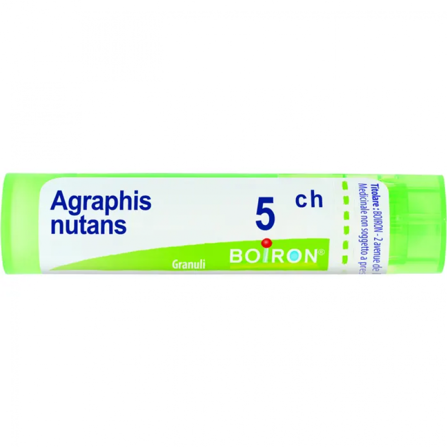 BO.AGRAPHIS NUTANS*5CH 80GR 4G