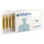 Catalitic Fluoro 20 Fiale 2Ml Cemon - 4