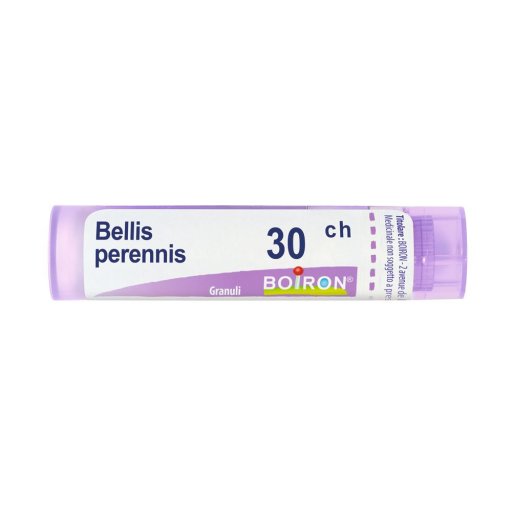 BELLIS PERENNIS*30CH 80GR 4G
