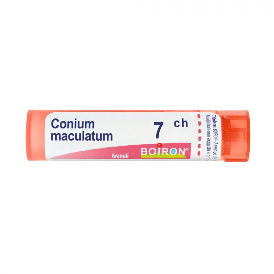 CONIUM MACULATUM 7CH GR