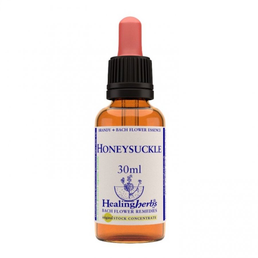 HONEYSUCKLE ESSENZA 30ML