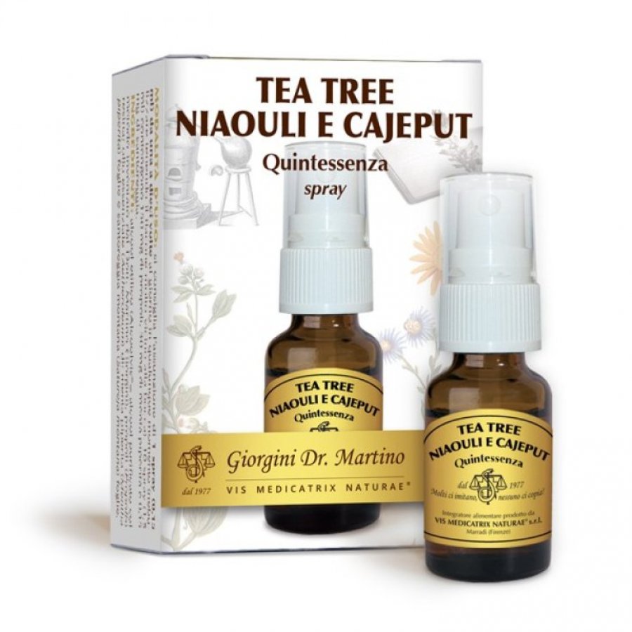 TEA TREE NIAOU/CAJEP QUINT SPR