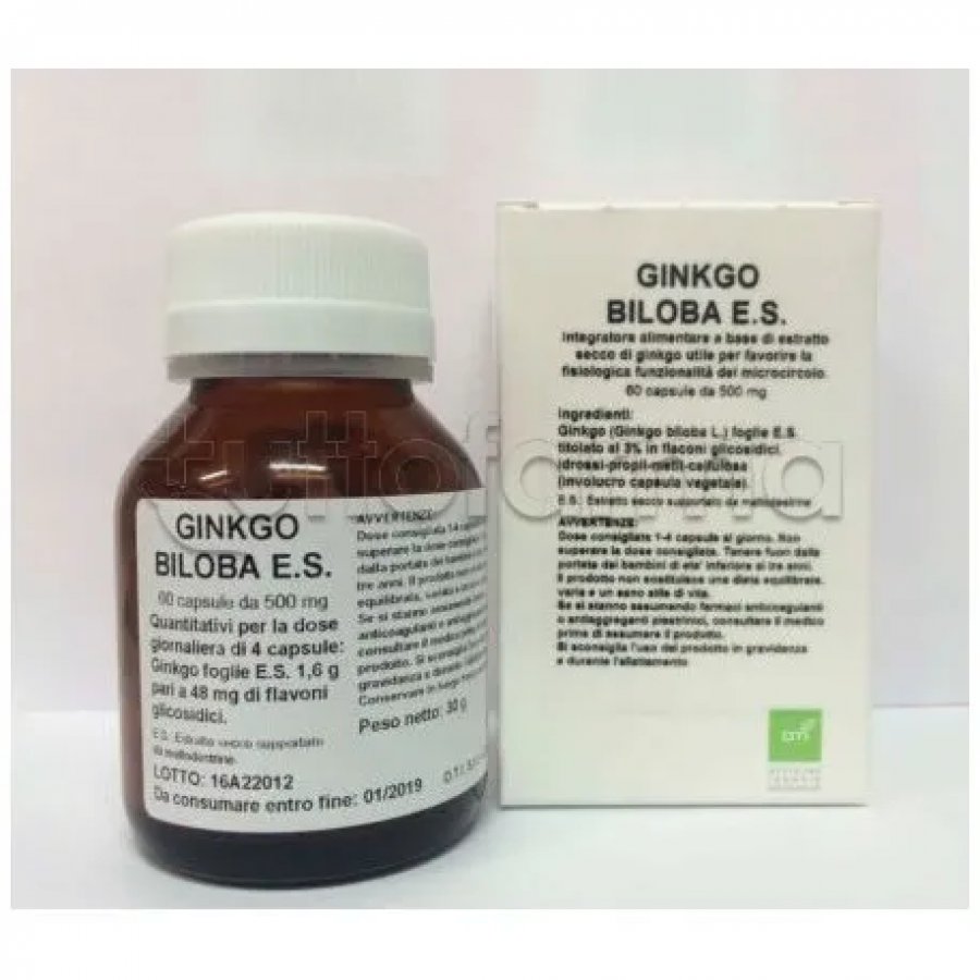 GINGKO BIL ES 60CPS 500MG OTI