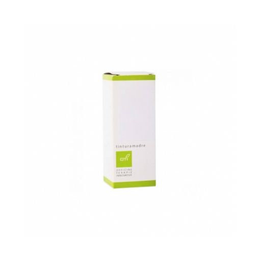 SAMBUCO TINTURA MADRE GTT100ML