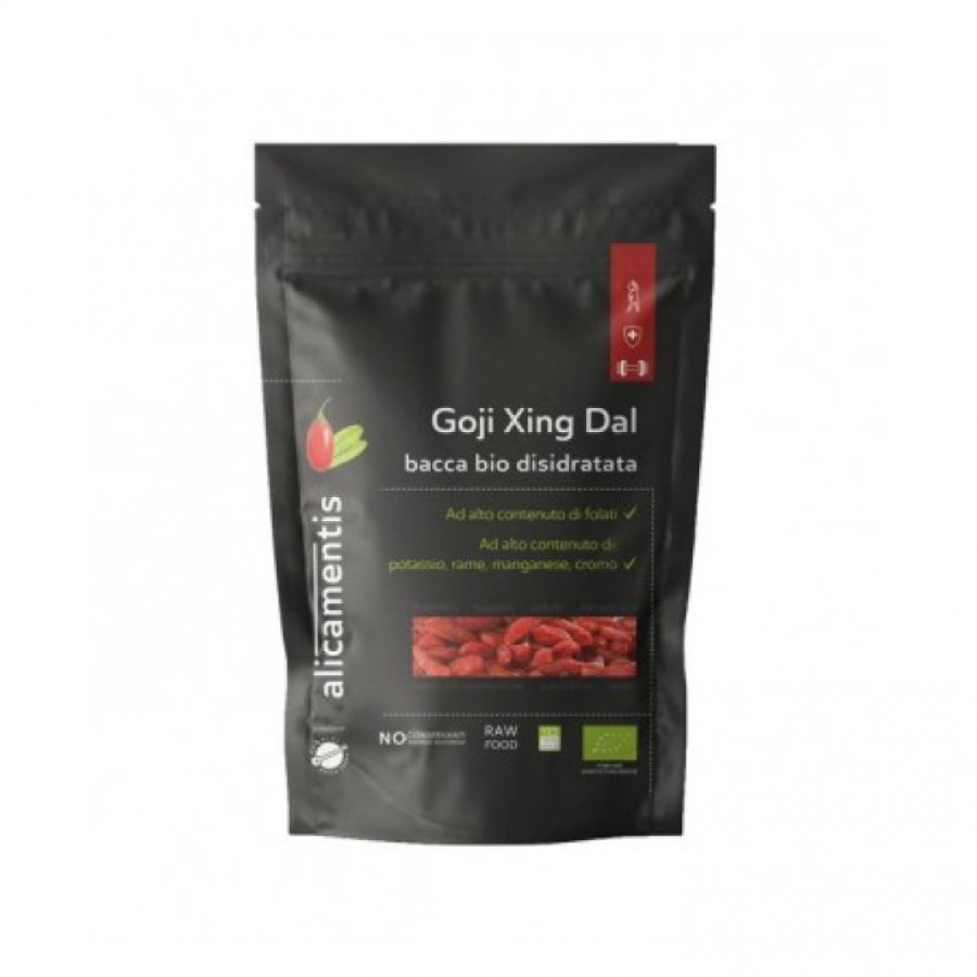 GOJI XING DAL BIO 480G ALICAME