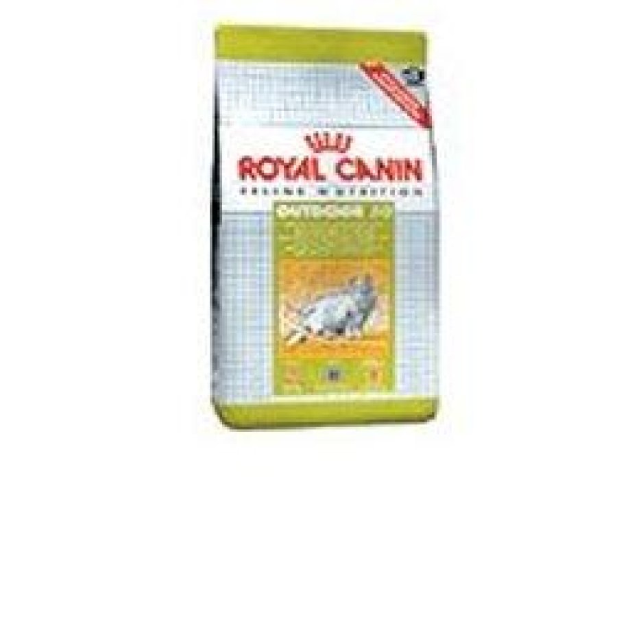 ROYAL CANIN GATTO ACTIVE LIFE OUTDOOR 400GR