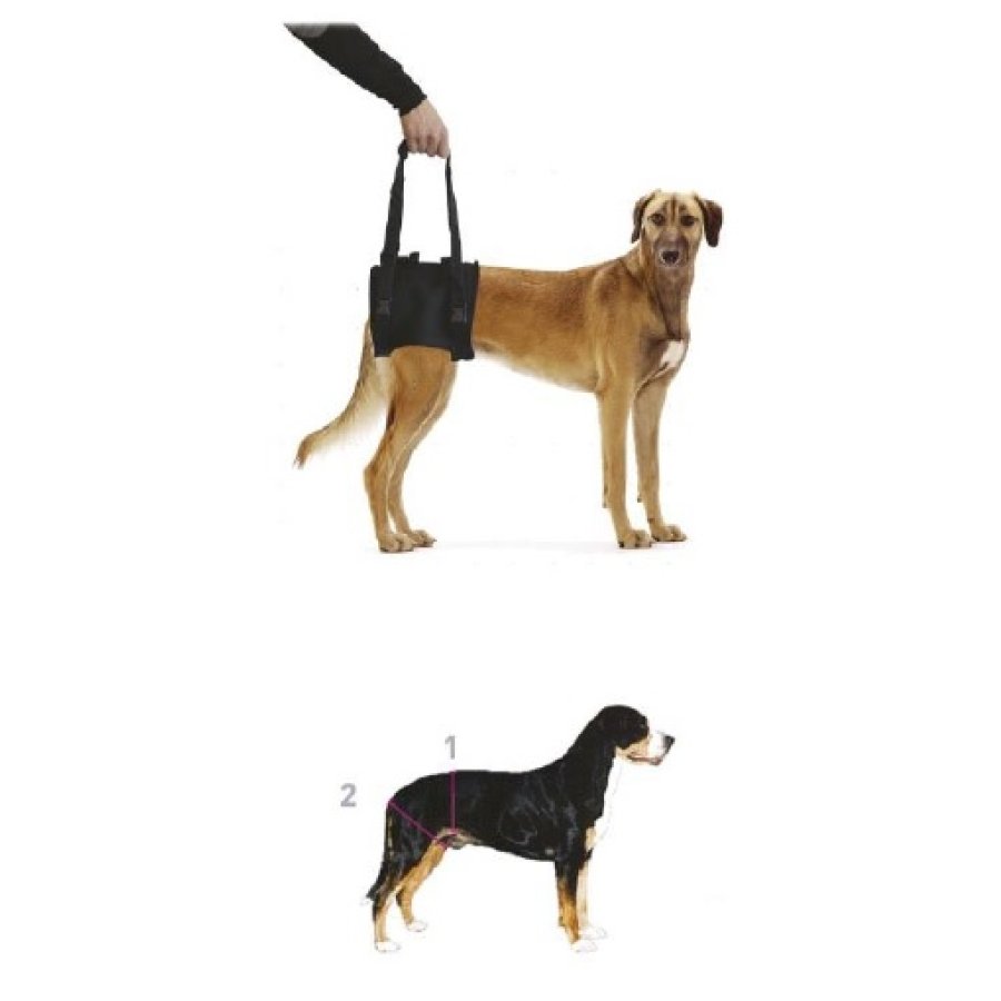 LEOPET SUPPORTO ARTI POSTERIORI CANE/GATTO (S) CAD.