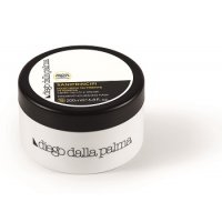 Diego Dalla Palma - Maschera Nutriente Intensiva Saniprincipi 200ml