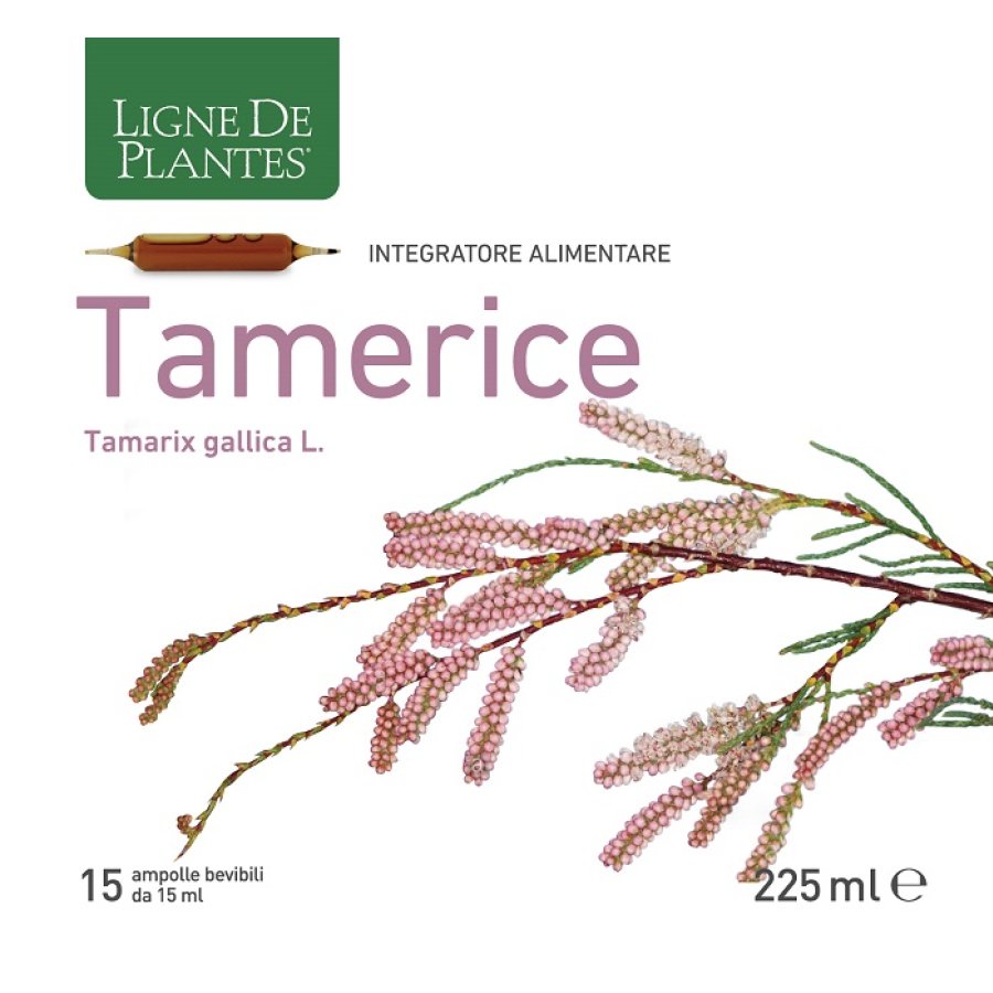 TAMERICE 15AMPOLLE