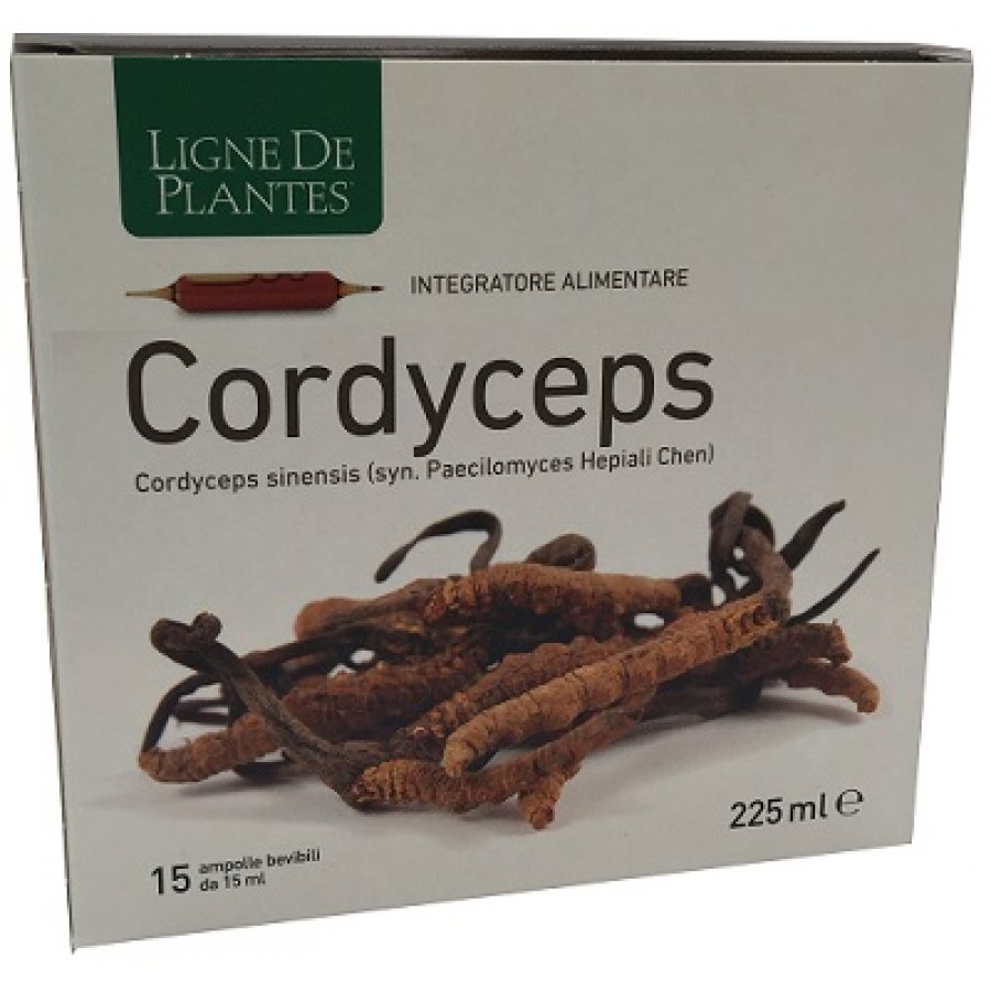 Cordyceps 15ab 15ml