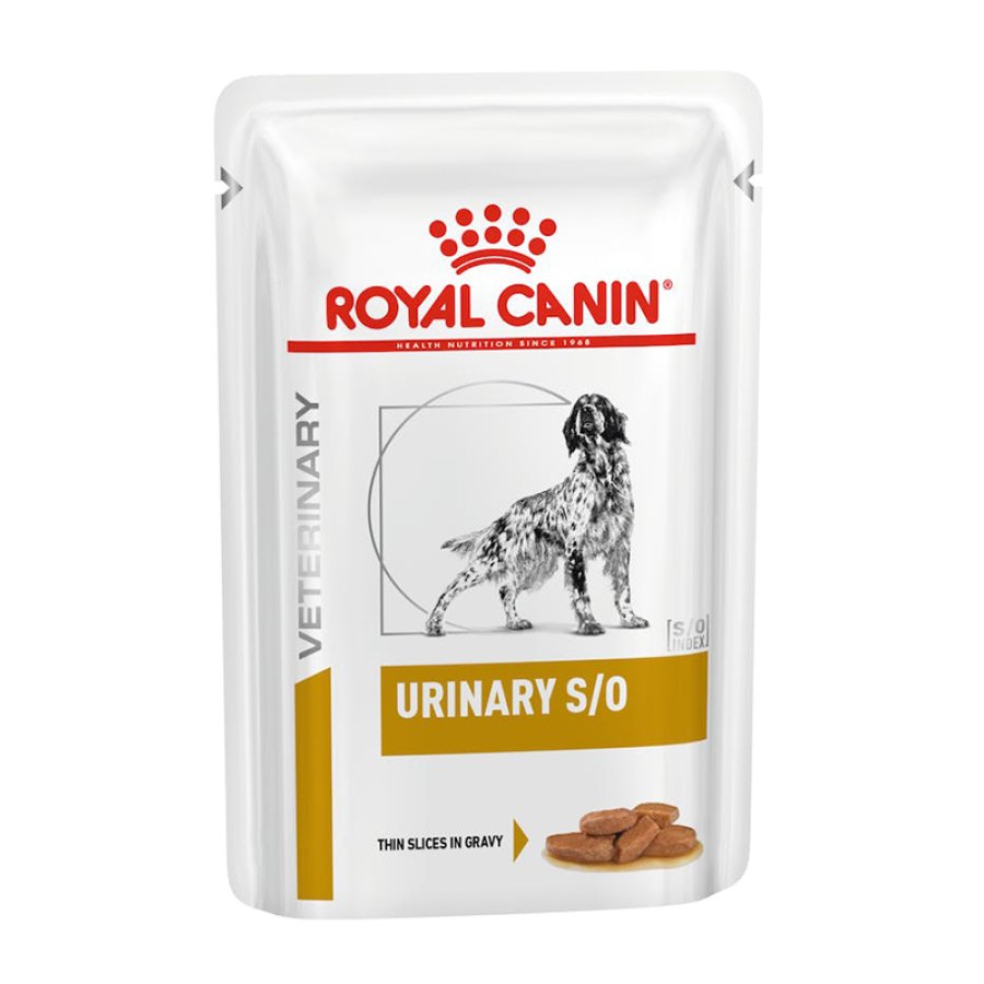 ROYAL CANIN CANE DIET URIN S/O 12PZ