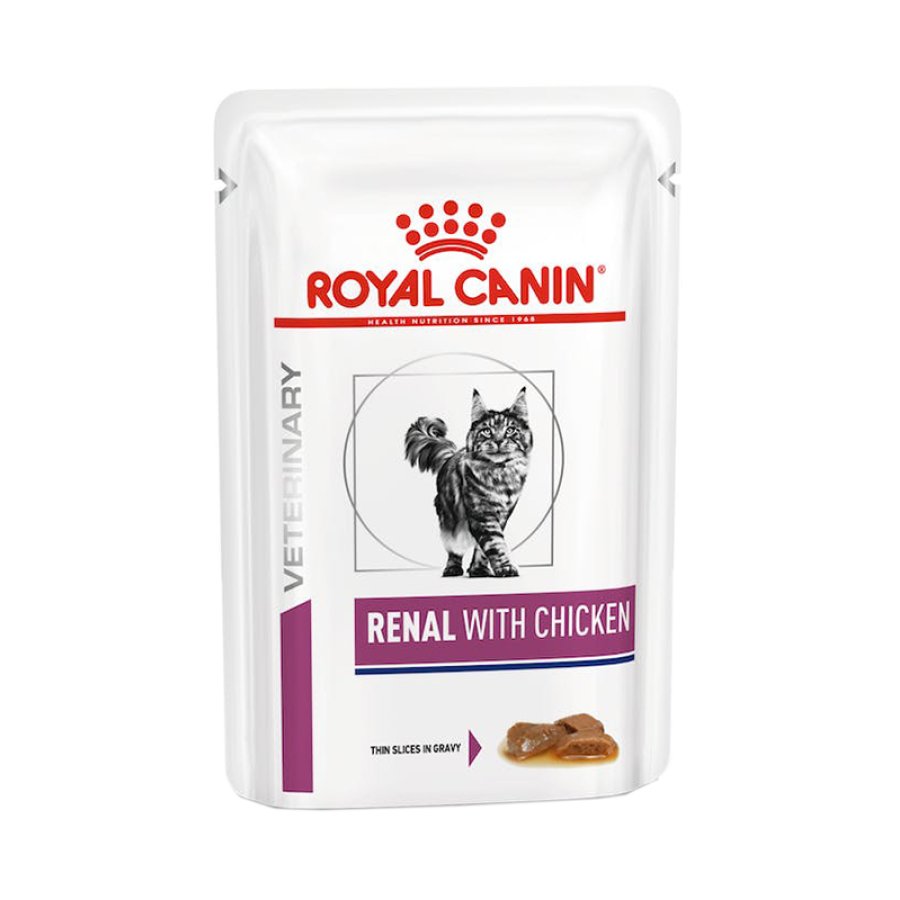 ROYAL CAN VHN W CAT REN CHICK 12BUS