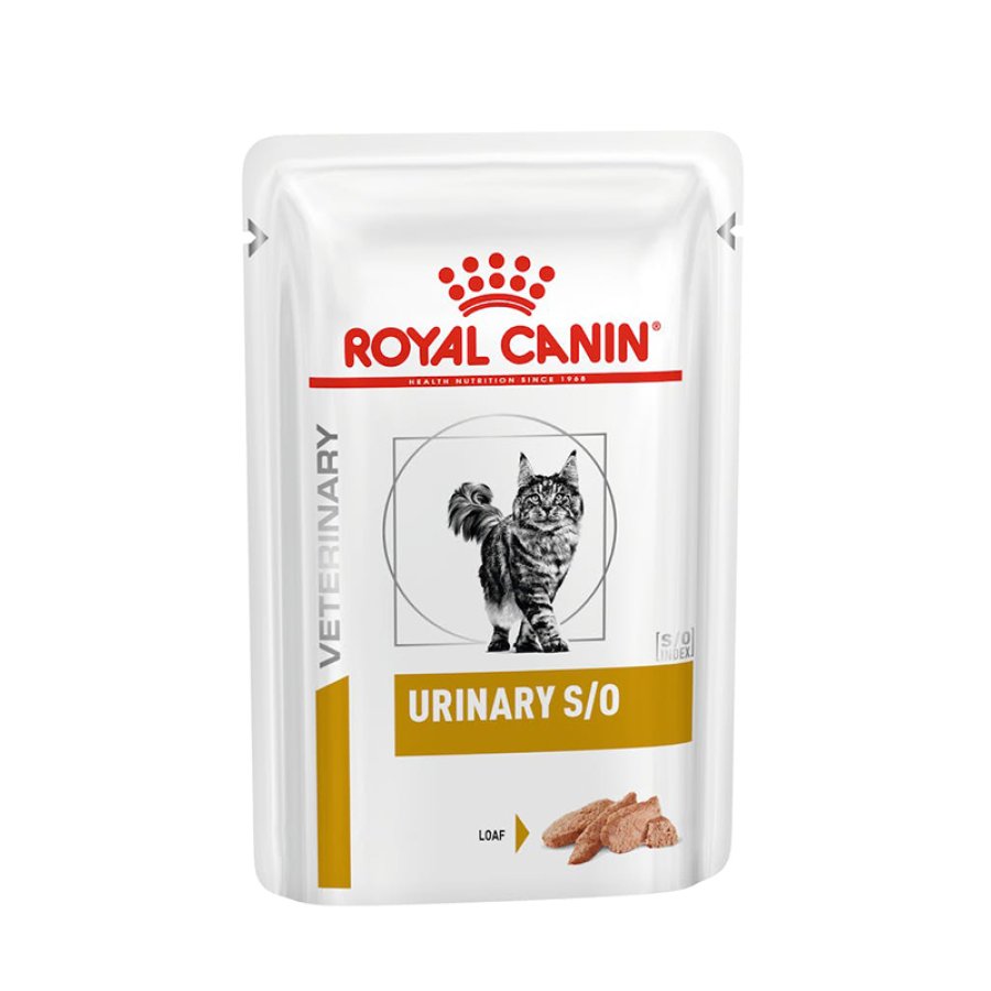 ROYAL CANIN GATT DIET URIN S/O12X85