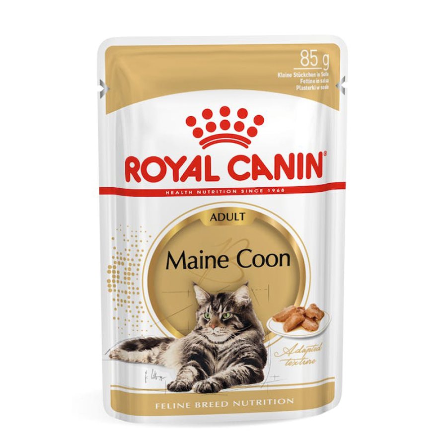 ROYAL CANIN GATTO MAINE COON ADULT 85GR (bustina) ROYAL CANIN GATTO MAINE COON ADULT 85GR (bustina)