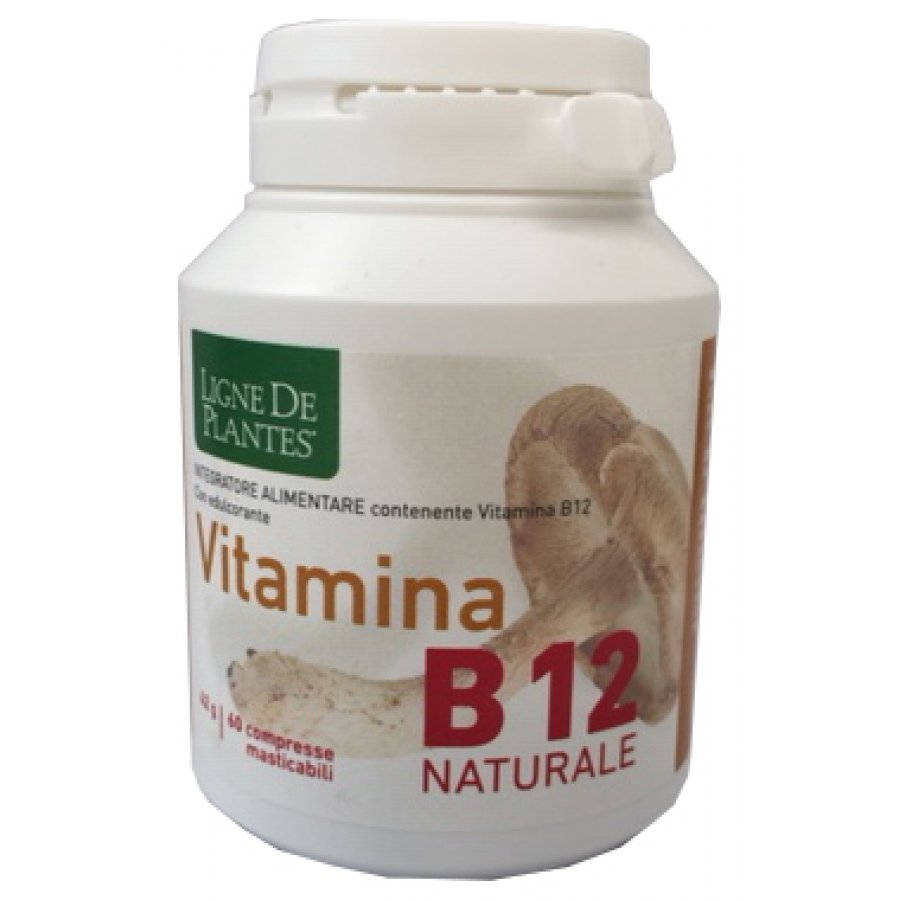 Vitamina B12 60cpr Masticabili