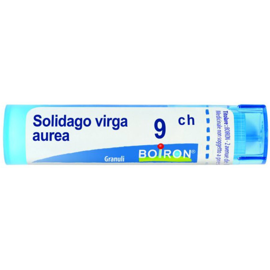 SOLIDAGO VIRGA AUREA*GRAN 9CH