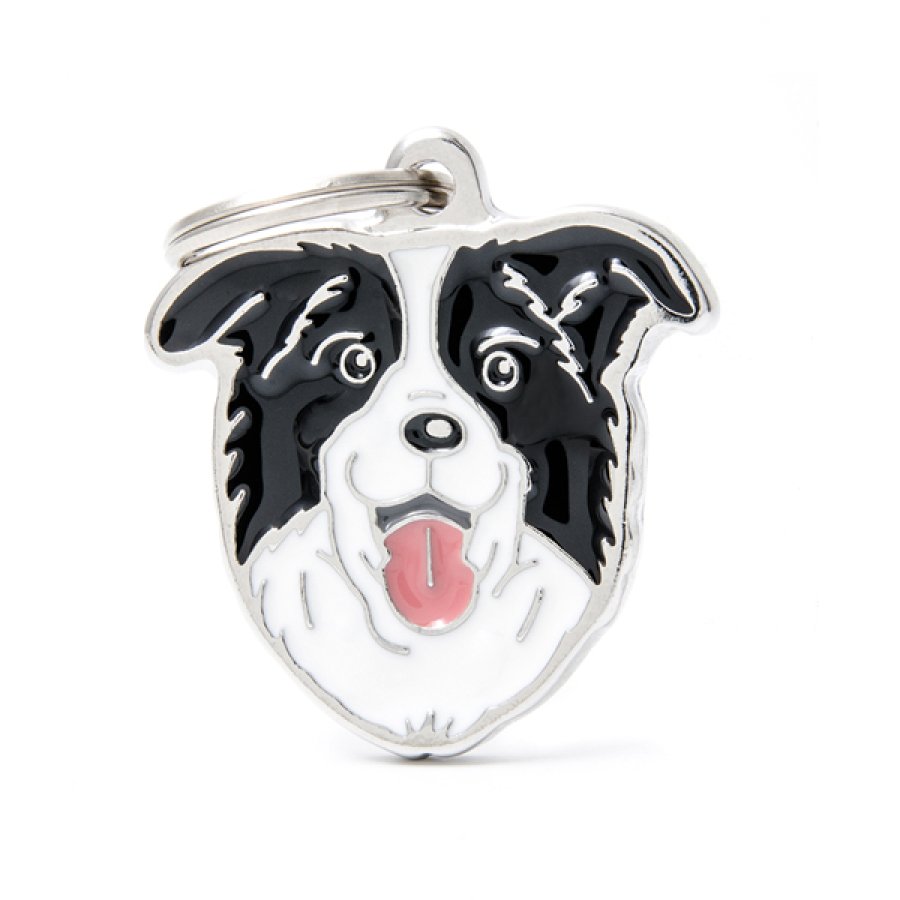 MY FAMILY MEDAGLIETTA BORDER COLLIE (REF. MF03N)