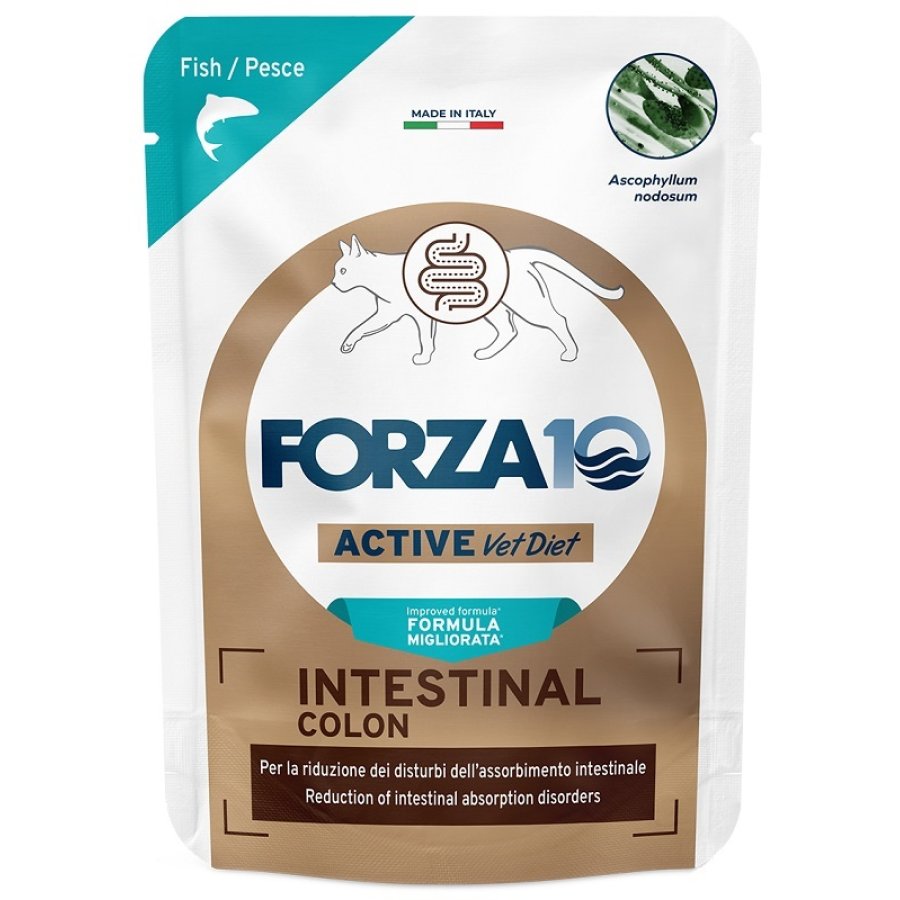 FORZA10 GATTO ACTIVE DIET INTESTINAL COLON 80GR (bustina) FORZA10 GATTO ACTIVE DIET INTESTINAL COLON 80GR (bustina)
