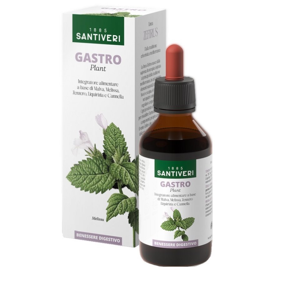 GASTRO PLANT ZEFIRUS 100ML NF