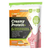 NAMEDSPORT Creamy Protein, 500 g