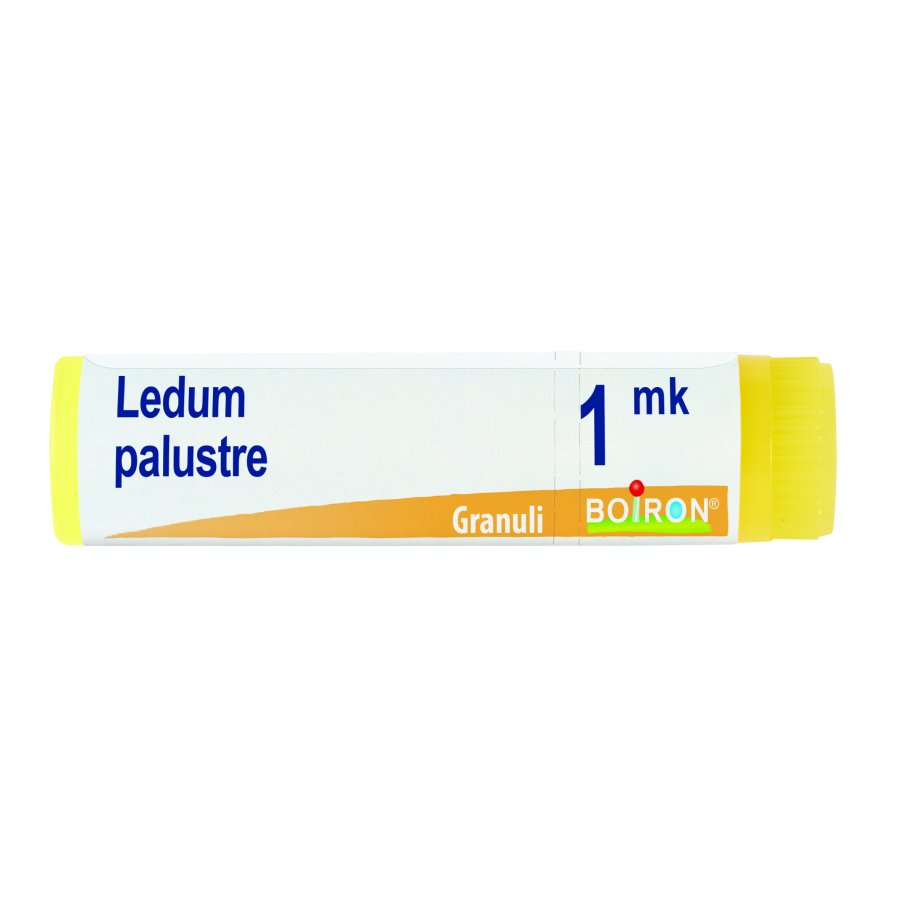 LEDUM PALUSTRE*GLOB MK AIC LEDUM PALUSTRE*GLOB MK AIC