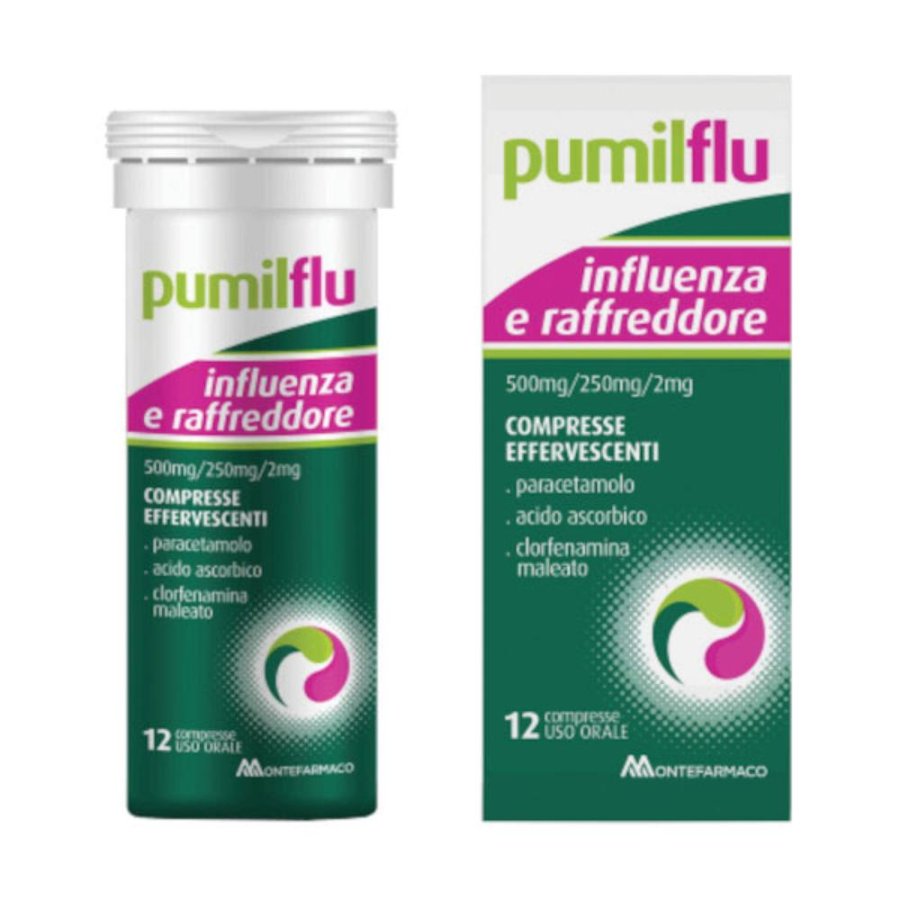 LEVIOFLU INFLUENZA E R*12CPR