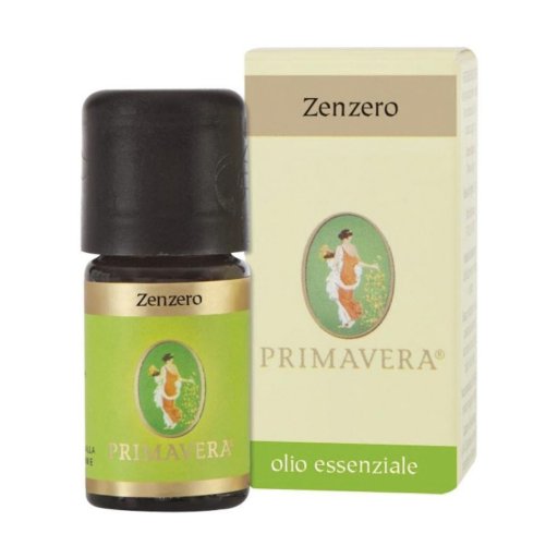 ZENZERO OE CONV 5ML