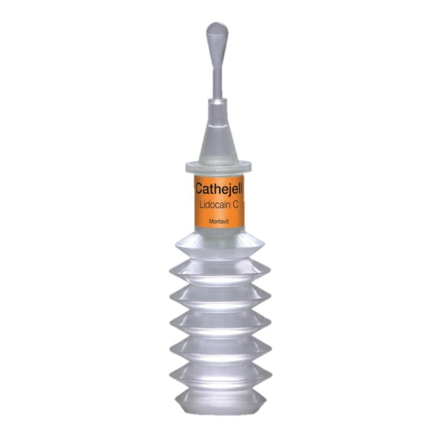 GLISSEN Gel Lidocaina 12,5g 25 GLISSEN Gel Lidocaina 12,5g 25