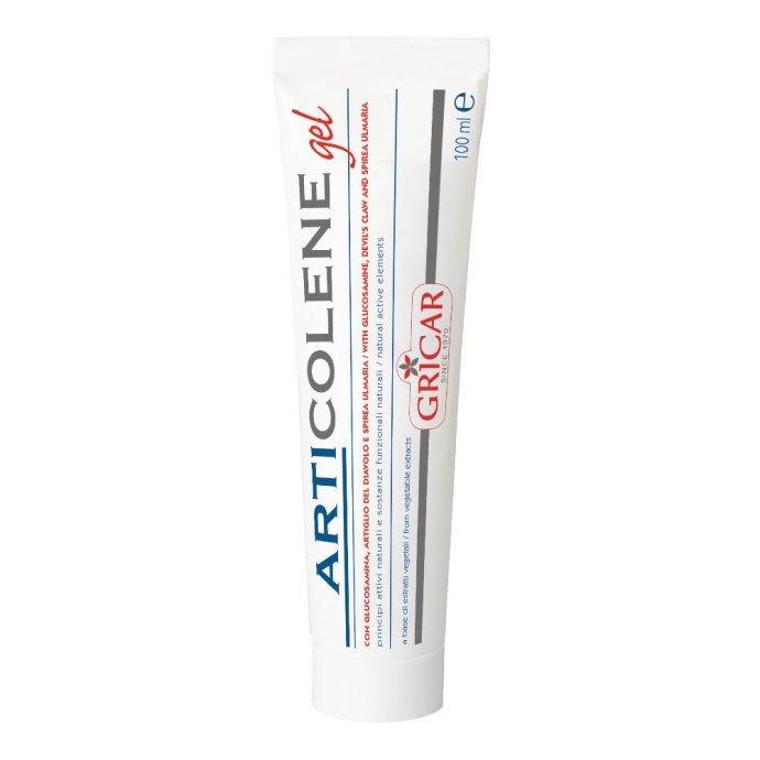 ARTICOLENE GEL 100ML "GRICAR"
