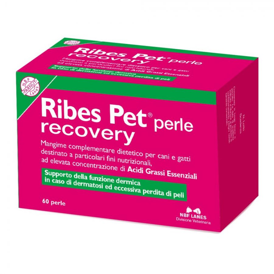 Ribes Pet Recovery per Cane e Gatto 60 Perle - Integratore Nutrizionale